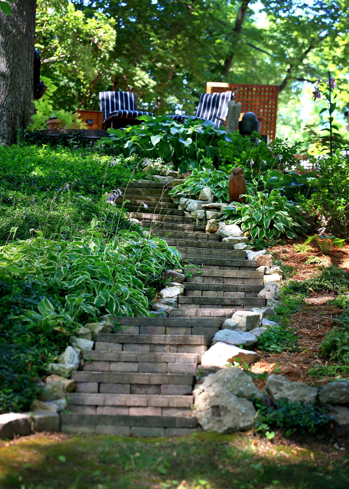 Garden contest second place winner